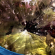 Illustration for article titled A Look to the Year Aheadi: Square Enix/i